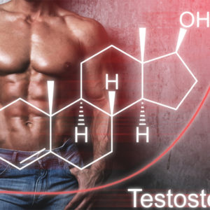 Hormone Health & Testosterone Course