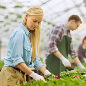 Horticulture & Plant Nutrition